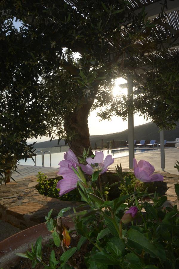 Celini Suites Hotel Marmari  Exterior photo